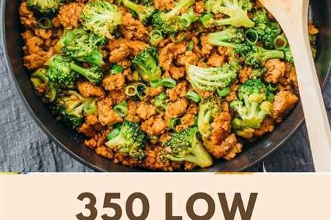 350 LOW CARB DIET RECIPES To Help You Lose Weight