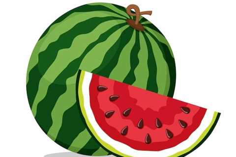 Premium Vector | Ripe watermelon and juicy piece on a white background. isolated